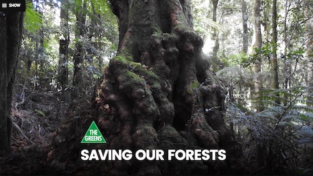 Saving Our Forests homepage